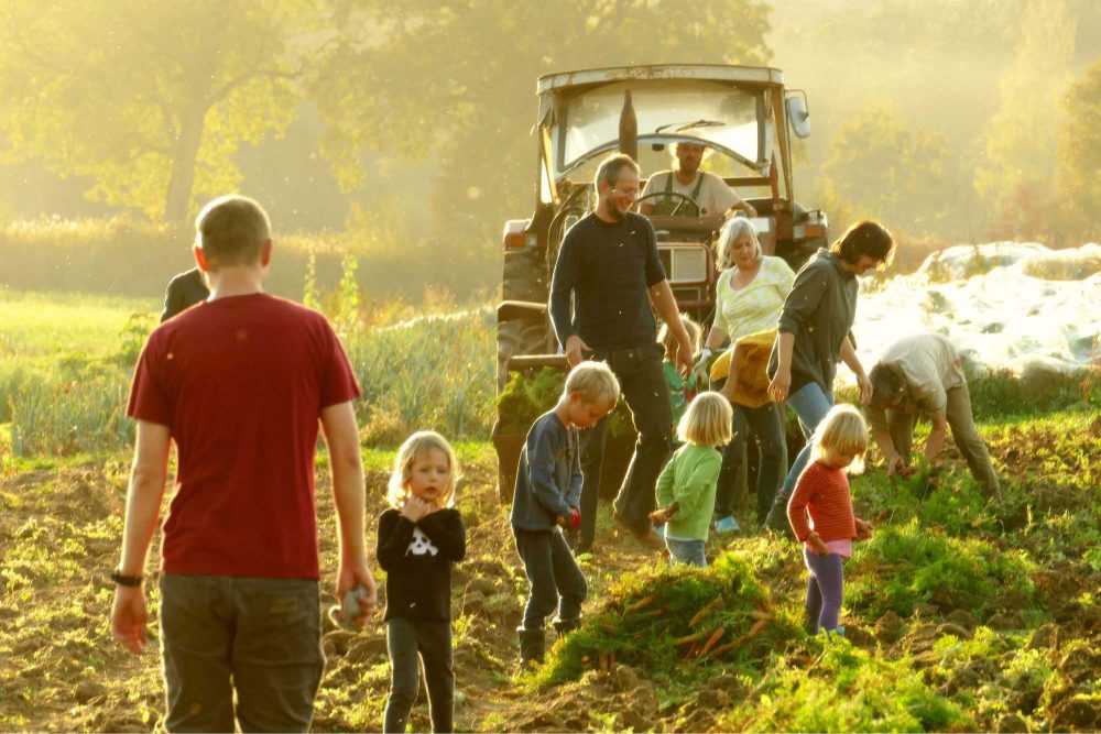 Solidarische Landwirtschaft