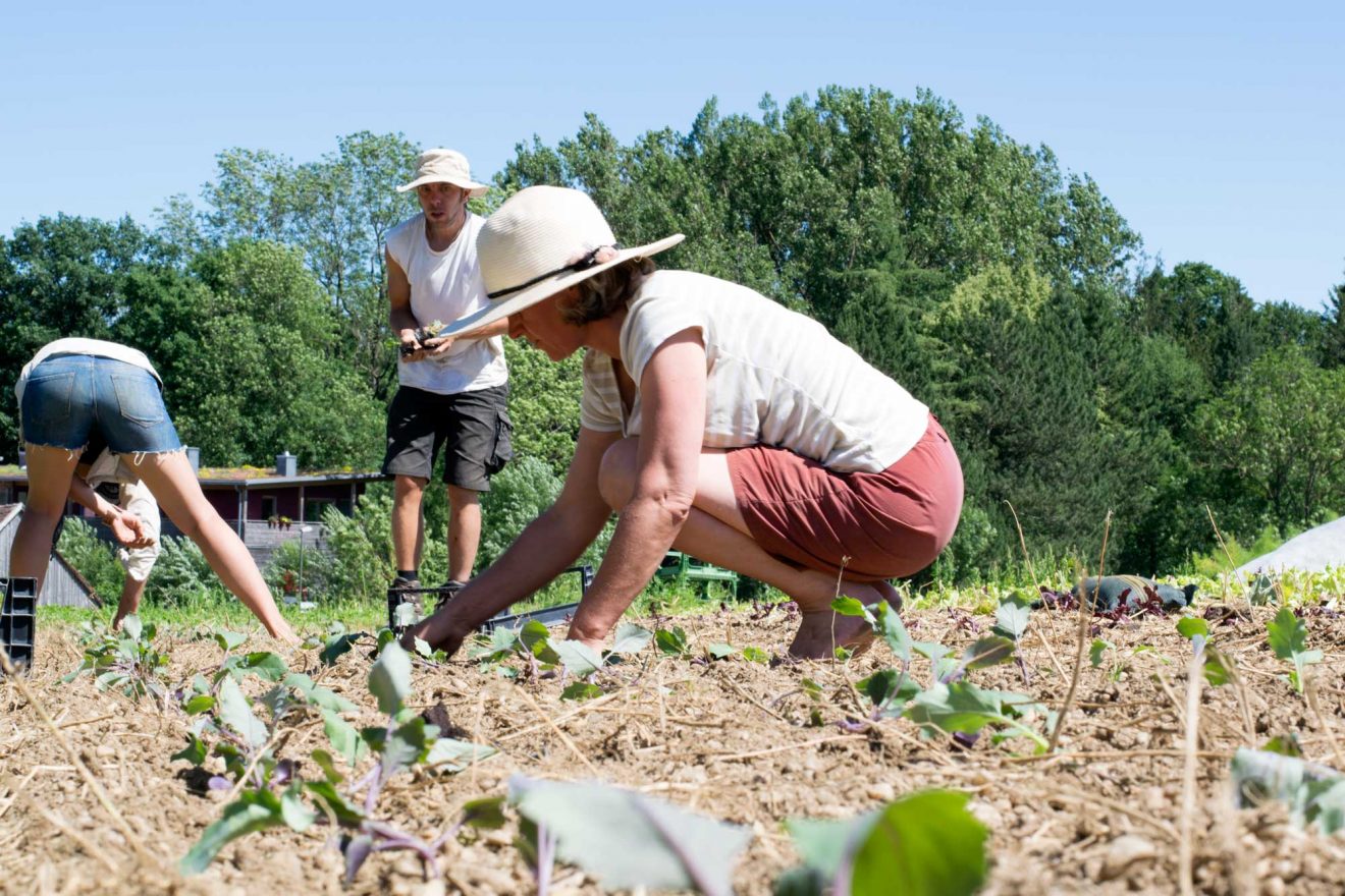 Solidarische Landwirtschaft